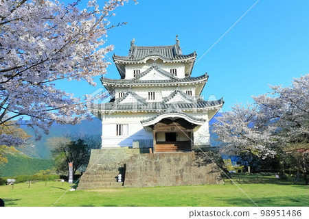 [愛媛縣]春天櫻花盛開的宇和島城 98951486
