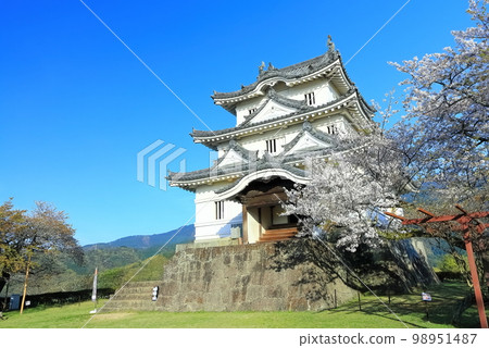 [愛媛縣]春天櫻花盛開的宇和島城 98951487