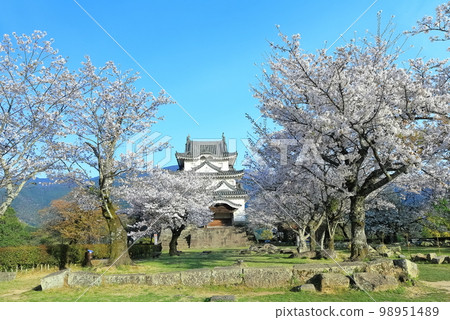 [Ehime Prefecture] Uwajima Castle in spring when cherry blossoms bloom 98951489
