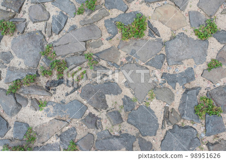 Road with cobblestone and overgrown by grass. Road with cobblestone and overgrown by grass. 98951626