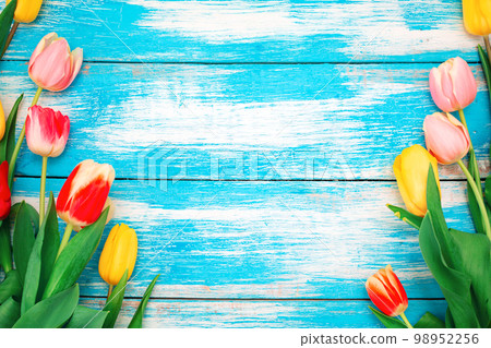 Spring. Colorful Dutch tulips on a blue wooden background. Flat lay. Copy space. The concept of World Women's Day 98952256