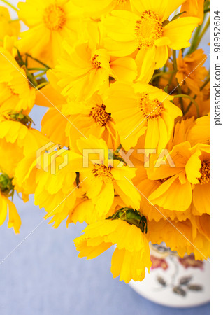 Beautiful summer flowers Beautiful summer flowers 98952604