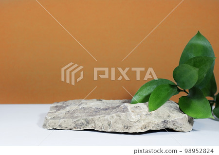 Creative layout of colorful riskus leaves on a white beige background in the rays of the sun, with shadows. Showcase with green leaves and stone natural podium pedestal, eco podium and platform. Creative layout of colorful riskus leaves on a white beige background in the rays of the sun, with shadows. Showcase with green leaves and stone natural podium pedestal, eco podium and platform. 98952824