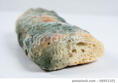Mold on bread on a white background close-up. The danger of mold, stale products. Mold on bread on a white background close-up. The danger of mold, stale products. 98953105