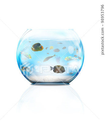 Glass aquarium Glass aquarium 98953796