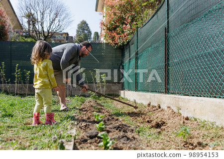 Man and child dig beds for seedlings in their garden 98954153