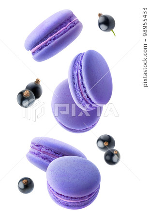 Black currants macaroons levitation isolated on white background 98955433