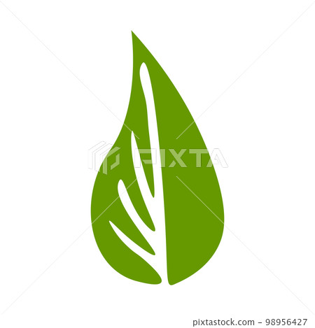 Green natural leaf drawing, vector Green natural leaf drawing, vector 98956427