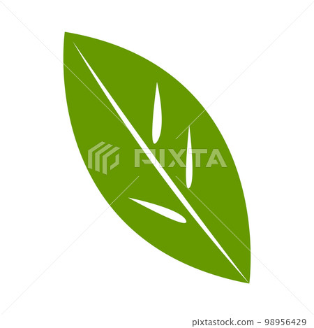 Green natural leaf drawing, vector 98956429