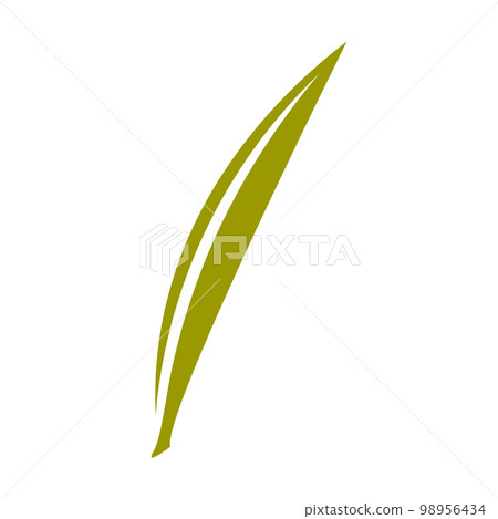 Green natural leaf drawing, vector 98956434