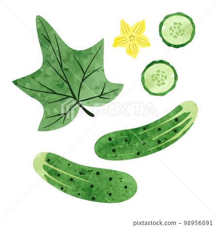 Set of watercolor cucumbers isolated on white background 98956891
