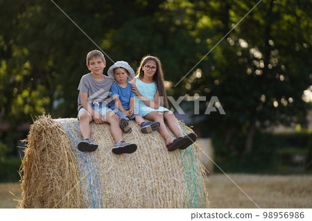 Agriculture harvest concept. Children sit on a haystack on a sunny day in the field with hay bales after harvest 98956986