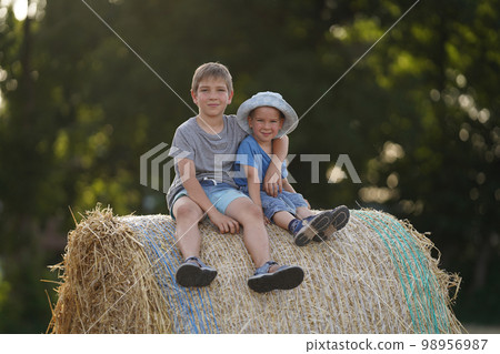 Brothers on a big hay bale. 98956987