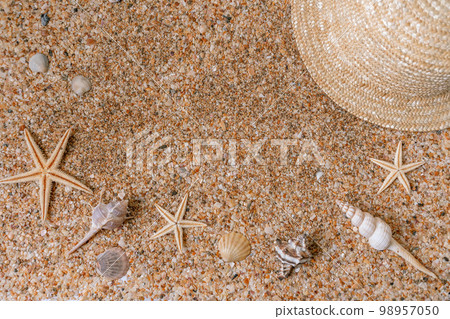 Sand shells background. Summer time concept with sea shells and starfish on the sand 98957050