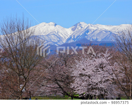 宮城藏王三十六景、陸奧之森湖畔公園、從湖邊廣場看到的白雪皚皚的藏王連峰 宮城藏王三十六景、陸奧之森湖畔公園、從湖邊廣場看到的白雪皚皚的藏王連峰 98957375