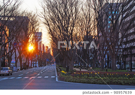 Mori no Miyako Sendai Jozenji Street Lined with zelkova trees with fallen leaves Building windows reflecting the sunlight of the sunrise 98957639