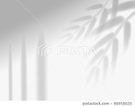 Shadow mockup. Sunlight overlay effect from window frames and tropical plant branch, palm tree leaves on room wall, ceiling or floor. Realistic background. Vector illustration Shadow mockup. Sunlight overlay effect from window frames and tropical plant branch, palm tree leaves on room wall, ceiling or floor. Realistic background. Vector illustration 98958020