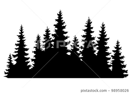 Fir trees silhouettes. Coniferous spruce horizontal background patterns, black evergreen woods vector illustration. Beautiful hand drawn panorama with treetops forest. Black pine woods 98958026