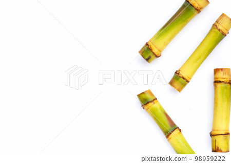 Sugar cane on white background. Copy space Sugar cane on white background. Copy space 98959222