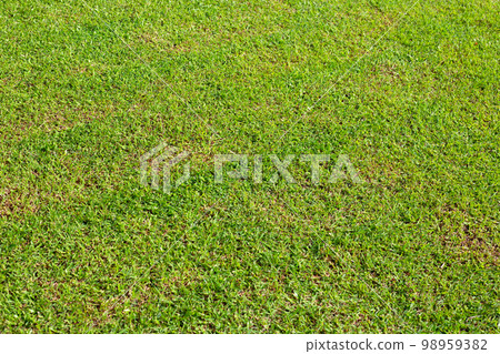 Fresh lawn grass. Beautiful green garden 98959382