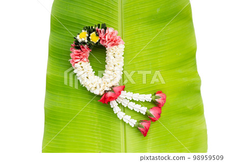 Rose with crown flower and jasmine garland Rose with crown flower and jasmine garland 98959509