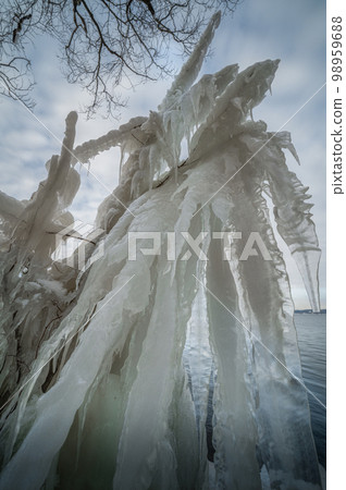福島縣，隆冬從豬苗代湖潑冰 98959688