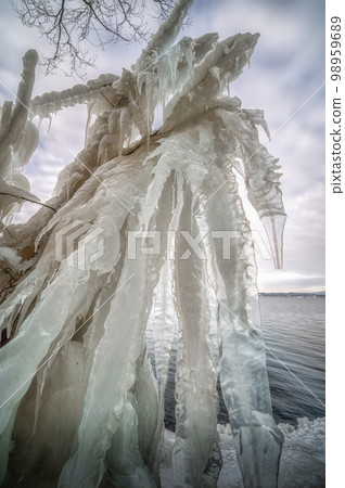 福島縣,隆冬從豬苗代湖潑冰 福島縣,隆冬從豬苗代湖潑冰 98959689