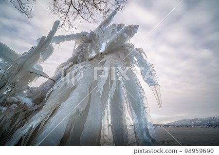 福島縣，隆冬從豬苗代湖潑冰 98959690