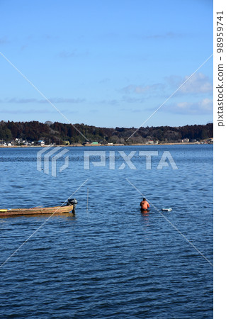 Clam fishing in Hinuma, a brackish water lake in Ibaraki Prefecture Clam fishing in Hinuma, a brackish water lake in Ibaraki Prefecture 98959741