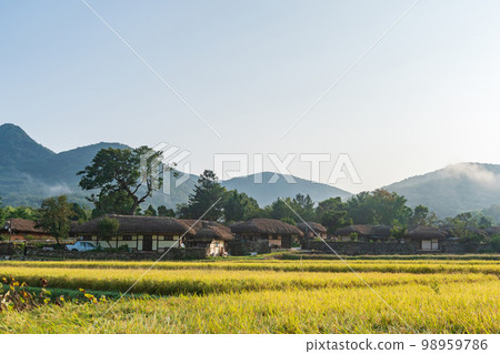 Autumn, Field, Asan City, Chungnam 98959786