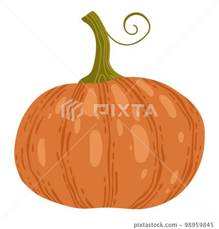 Colored pumpkin hand drawn vector graphic illustration. Colorful drawing autumn vegetable whole, slice and halves isolated on white background. Seasonal fresh plant bundle 98959845