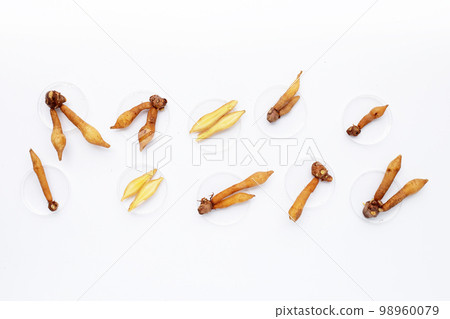 fingerroot on a white background. fingerroot on a white background. 98960079