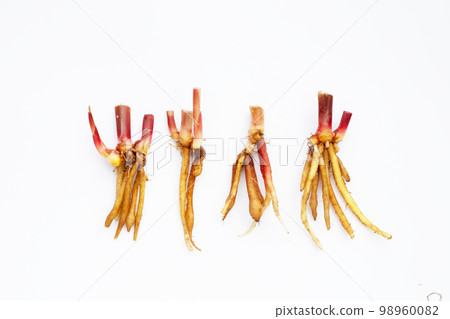 Sliced fingerroot on white background. 98960082
