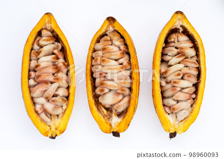 Cocoa fruit isolated on white background 98960093