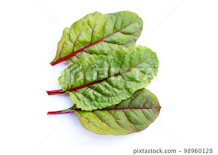 Fresh swiss chard leaves. Baby leaf swiss chard Fresh swiss chard leaves. Baby leaf swiss chard 98960128