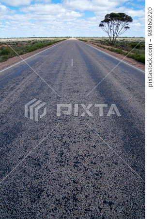 穿過澳大利亞大平原的直路 98960220