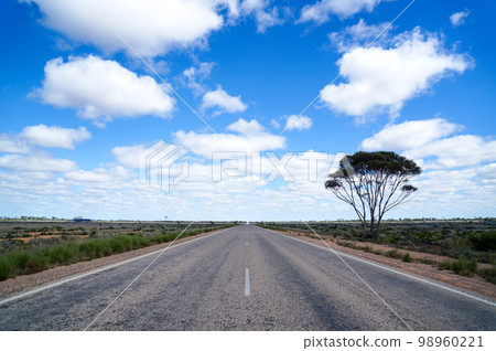 騎在澳大利亞最長的直路上 98960221