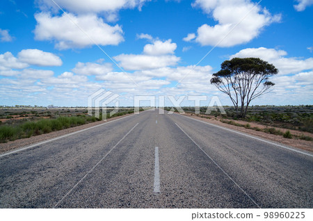 A straight road through the Nullarbor Plain in Western Australia 98960225