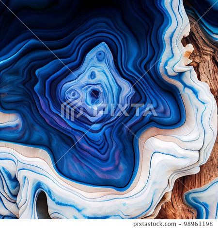 White and ultramarine Burl wood surface abstract background. Decorative timber panel closeup, detailed wooden texture. Natural material dyed White and ultramarine wood abstract pattern. 98961198