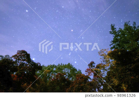 秋葉和獵戶星座 秋葉和獵戶星座 98961326