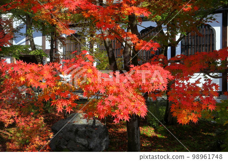 Sakyo Ward, Kyoto City, Kyoto Prefecture Autumn leaves in the garden in the precincts of Shojuraigozan Muryōjuin Zenrinji Temple, also known as Eikando Sakyo Ward, Kyoto City, Kyoto Prefecture Autumn leaves in the garden in the precincts of Shojuraigozan Muryōjuin Zenrinji Temple, also known as Eikando 98961748