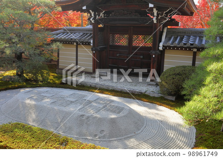 Sakyo Ward, Kyoto City, Kyoto Prefecture Autumn leaves in the garden in the precincts of Shojuraigozan Muryōjuin Zenrinji Temple, also known as Eikando Sakyo Ward, Kyoto City, Kyoto Prefecture Autumn leaves in the garden in the precincts of Shojuraigozan Muryōjuin Zenrinji Temple, also known as Eikando 98961749