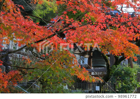 京都府京都市左京區正十來五山無量壽院善林寺院內的鐘樓和秋葉,也被稱為永觀堂 京都府京都市左京區正十來五山無量壽院善林寺院內的鐘樓和秋葉,也被稱為永觀堂 98961772