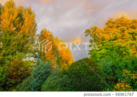 Autumn foliage colors in Loire valley public park with garden, France 98961787