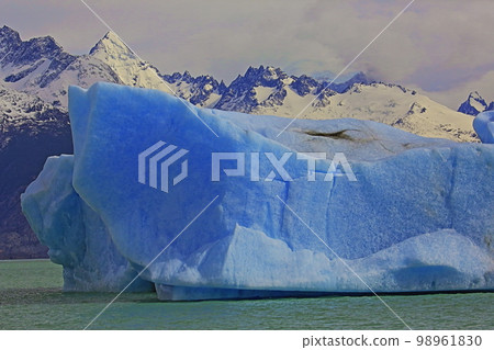 Argentino lake, snowcapped mountain and icebergs, Patagonia landscape, Argentina Argentino lake, snowcapped mountain and icebergs, Patagonia landscape, Argentina 98961830