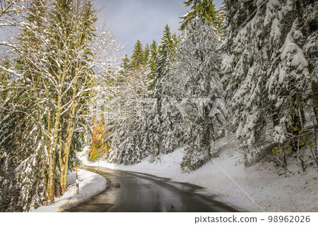 Mountain road, snowcapped pine trees at autumn sunrise in Bavarian Alps, Germany Mountain road, snowcapped pine trees at autumn sunrise in Bavarian Alps, Germany 98962026