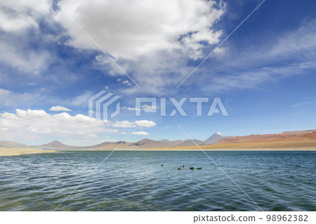 Salt lake with ducks, volcanic landscape, Atacama, Chile border with Bolivia 98962382