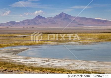 Salt lake, volcanic landscape at Sunset, Atacama, Chile border with Bolivia 98962386