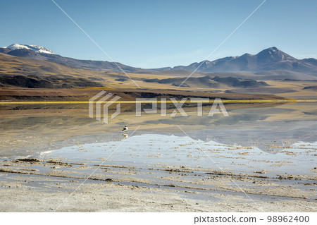 Salt lake, volcanic landscape at sunrise, Atacama, Chile border with Bolivia Salt lake, volcanic landscape at sunrise, Atacama, Chile border with Bolivia 98962400