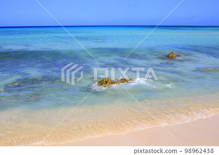 Secluded turquoise beach in Aruba, Caribbean Blue sea, Duth Antilles Secluded turquoise beach in Aruba, Caribbean Blue sea, Duth Antilles 98962438
